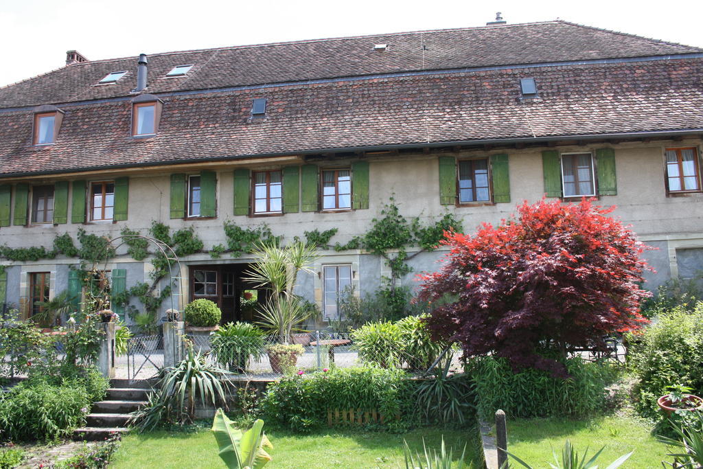 Ofenhaus Villa Murten Szoba fotó