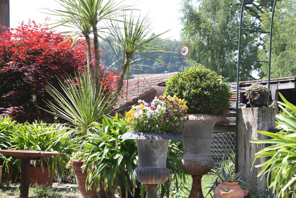Ofenhaus Villa Murten Szoba fotó